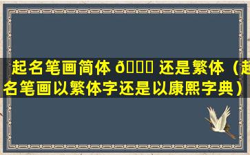 起名笔画简体 🐘 还是繁体（起名笔画以繁体字还是以康熙字典）